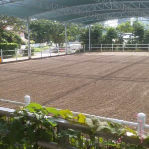 20171119_092117-scaled (1)