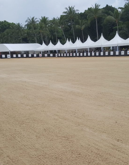 Beach Polo, Singapore