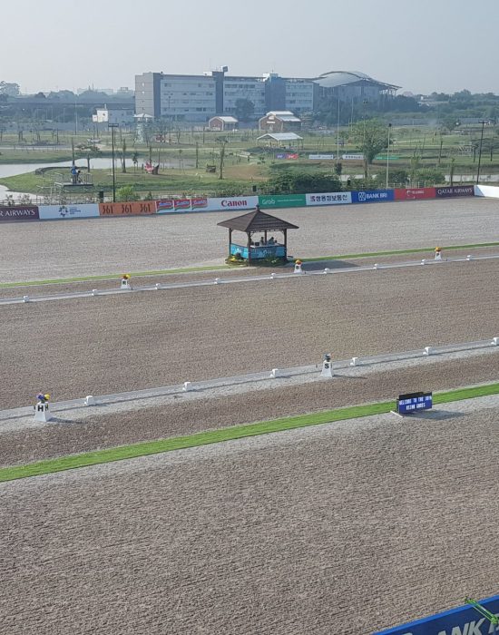 Jakarta Palembang AG 2018 dressage arena