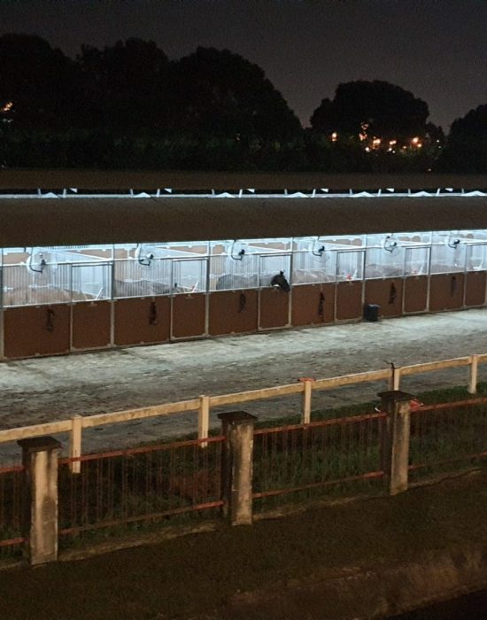 Knockdown stables at night, Agongs Cup 2023