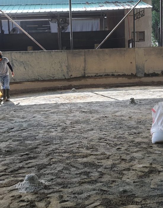 Lunge ring reconstruction, Manila Polo Club