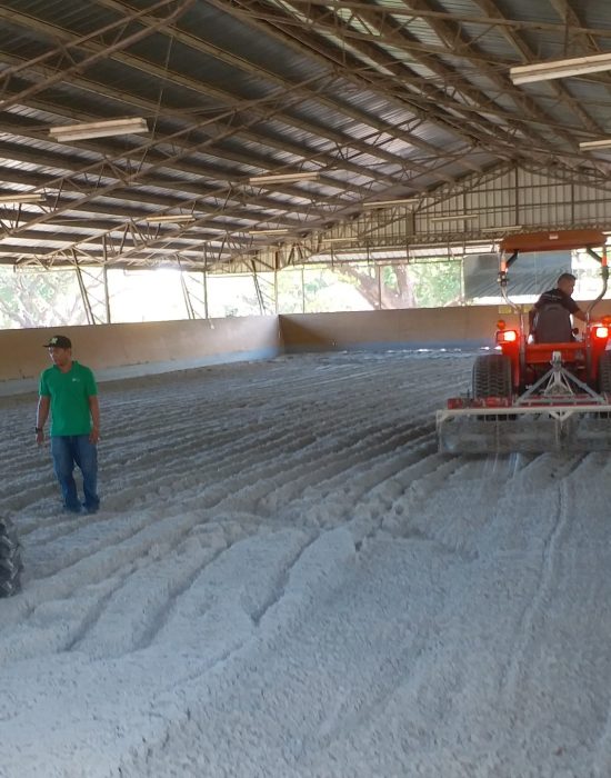 Manila Polo Club Small Arena Maintenance