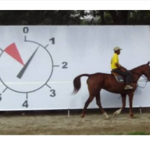 Polo-Clock (2)