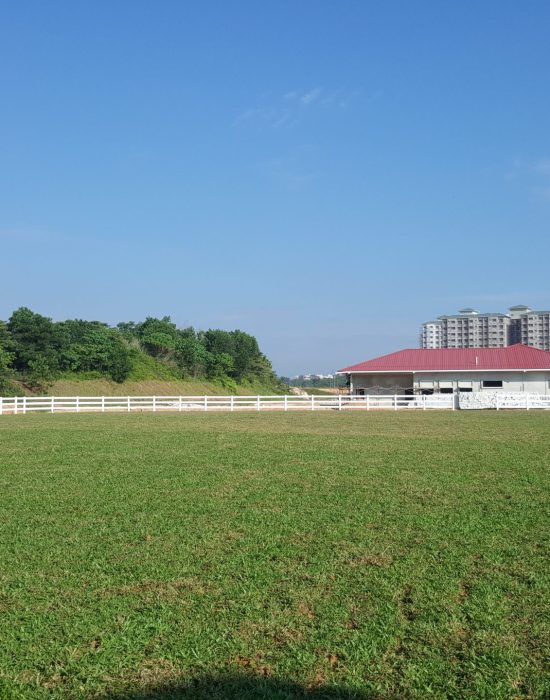 MAFEC Sendayan grass arena