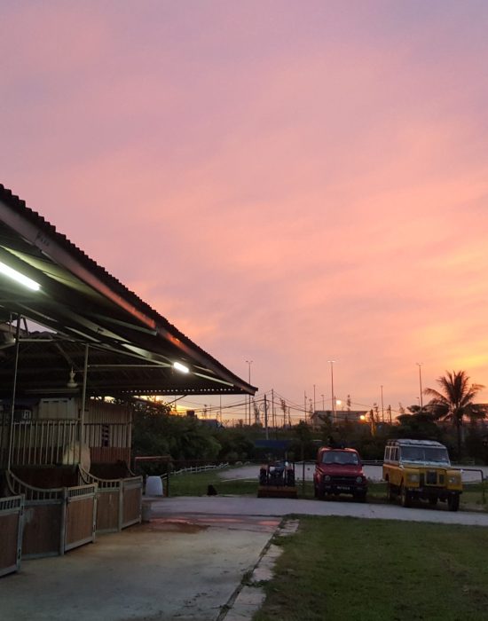 Stables in the sunset