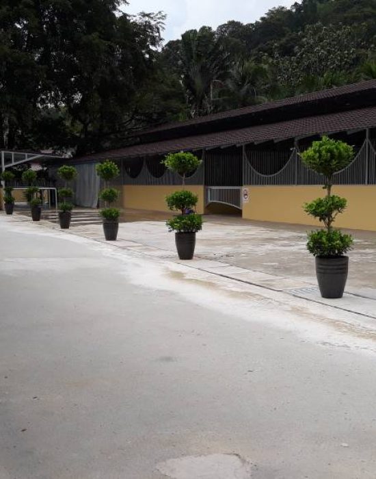 Stables, wash bay and courtyard