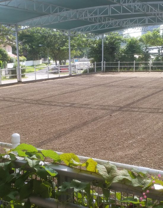 Steven Riady arena, Singapore