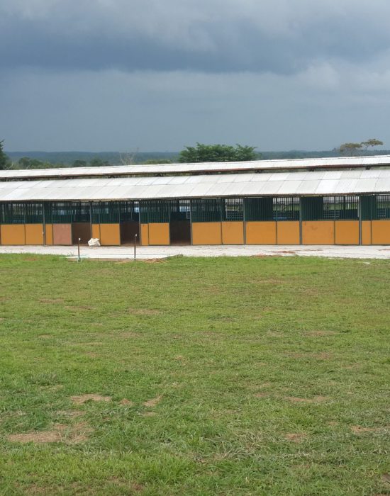 Temporary stables for Netflix's Marco Polo Productions on location