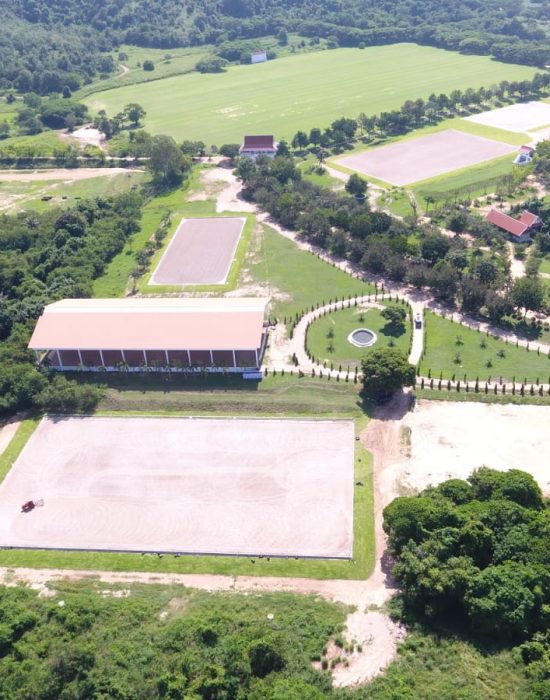 Thai Polo, Pattaya