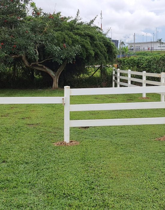 Turnout paddock with PVC Fence